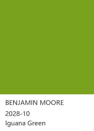 BENJAMIN MOORE 2028-10 Iguana Green 色卡