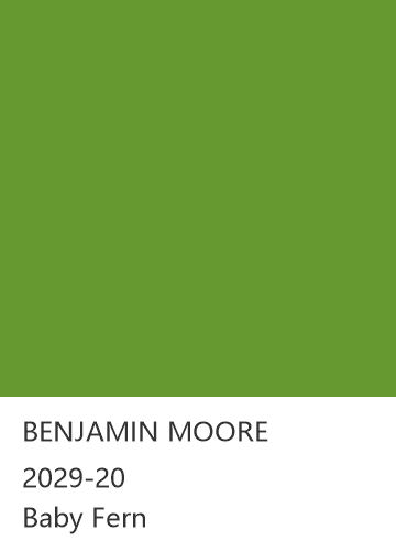 BENJAMIN MOORE 2029-20 Baby Fern 色卡