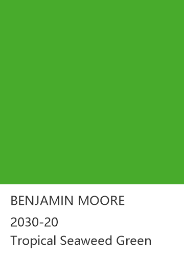 BENJAMIN MOORE 2030-20 Tropical Seaweed Green 色卡