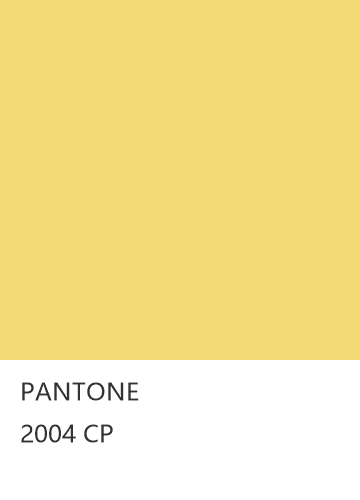 PANTONE 2004 CP  色卡