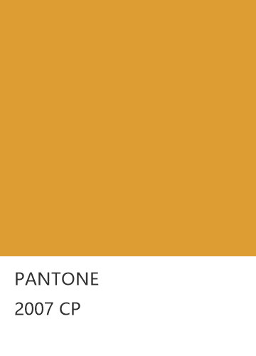 PANTONE 2007 CP  色卡