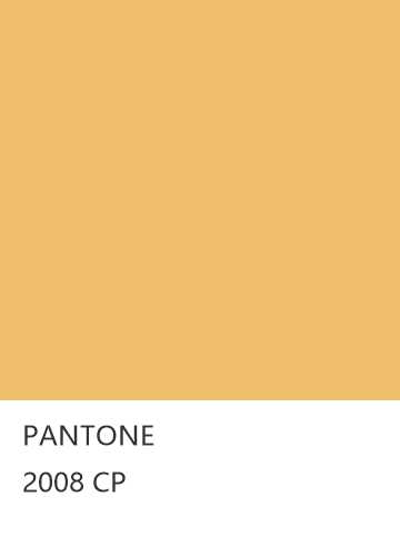 PANTONE 2008 CP  色卡