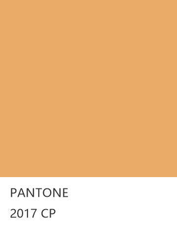 PANTONE 2017 CP  色卡