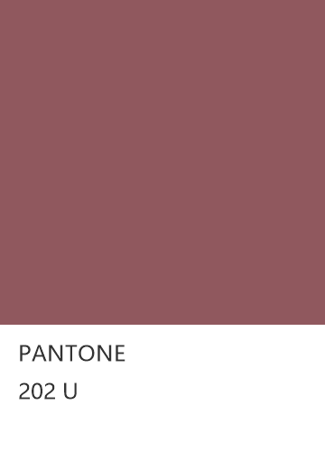 PANTONE 202 U  色卡
