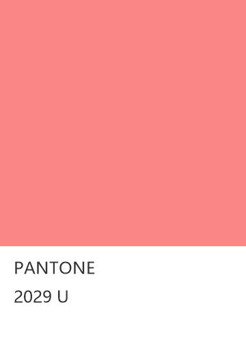 PANTONE 2029 U  色卡