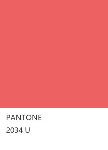 PANTONE 2034 U  色卡