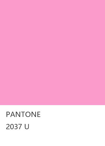 PANTONE 2037 U  色卡