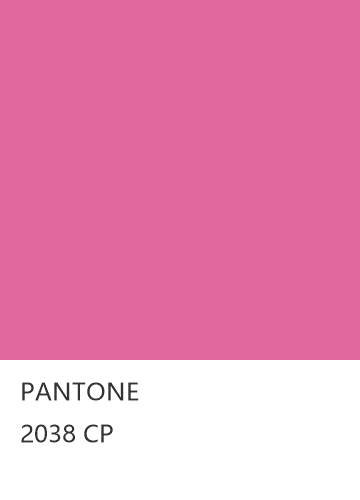 PANTONE 2038 CP  色卡