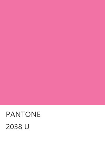 PANTONE 2038 U  色卡