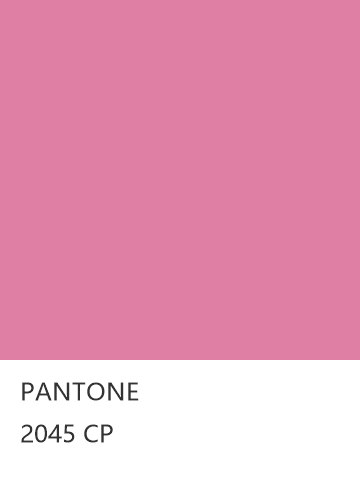 PANTONE 2045 CP  色卡
