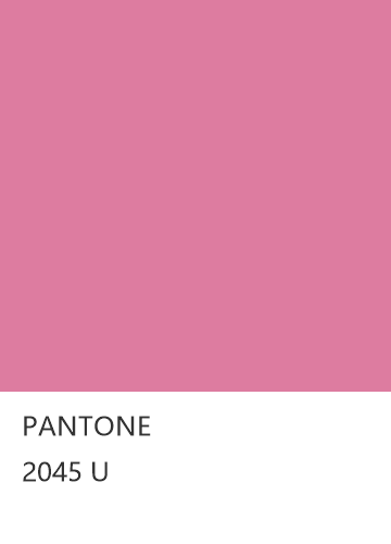 PANTONE 2045 U  色卡