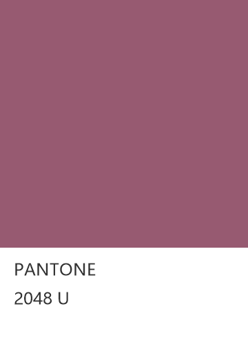 PANTONE 2048 U  色卡