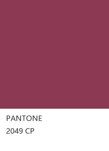 PANTONE 2049 CP  色卡