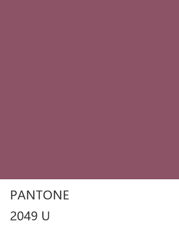 PANTONE 2049 U  色卡