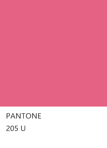 PANTONE 205 U  色卡