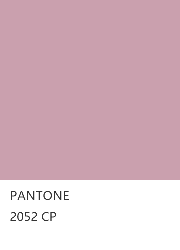PANTONE 2052 CP  色卡