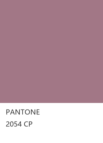 PANTONE 2054 CP  色卡