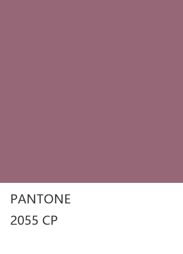 PANTONE 2055 CP  色卡