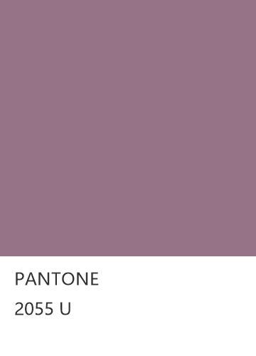 PANTONE 2055 U  色卡