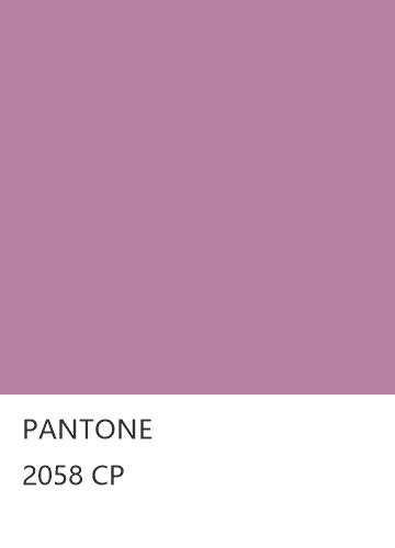 PANTONE 2058 CP  色卡