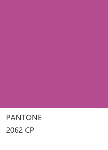 PANTONE 2062 CP  色卡