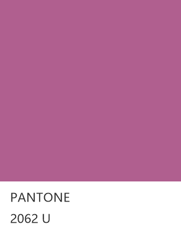 PANTONE 2062 U  色卡
