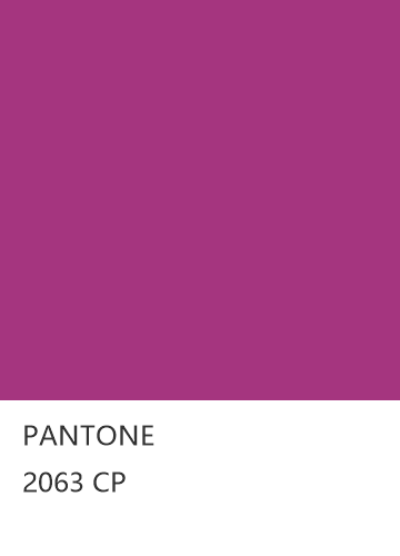 PANTONE 2063 CP  色卡