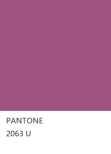 PANTONE 2063 U  色卡