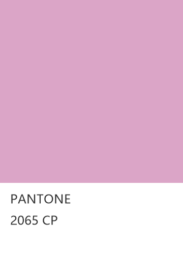 PANTONE 2065 CP  色卡