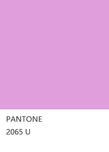 PANTONE 2065 U  色卡
