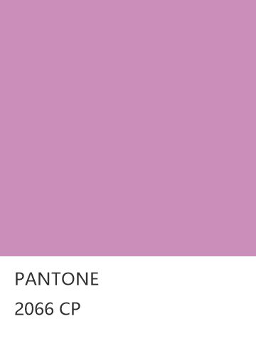 PANTONE 2066 CP  色卡