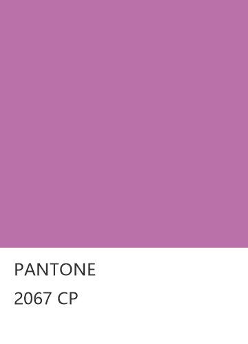 PANTONE 2067 CP  色卡