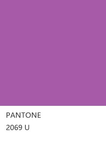 PANTONE 2069 U  色卡
