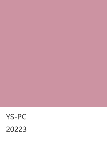 YS-PC 20223 null 色卡