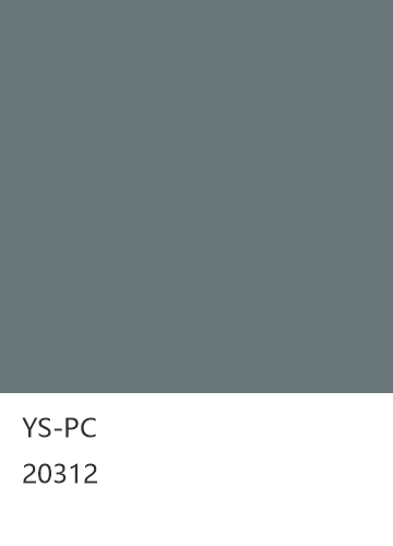 YS-PC 20312 null 色卡