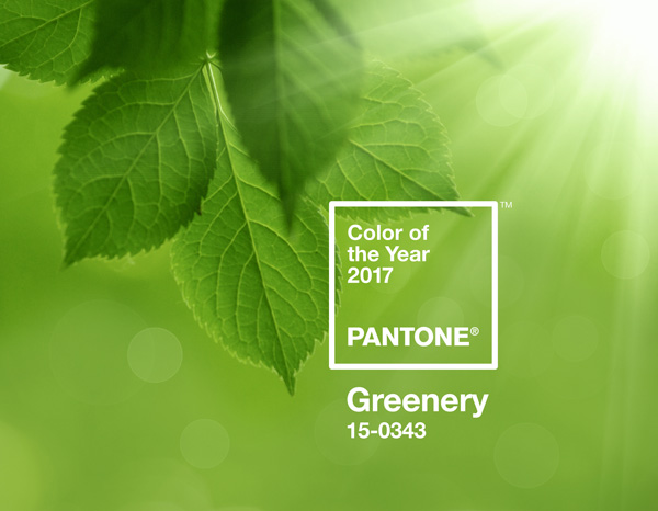 PANTONE2017年代色 15-0343 Greenery (草木绿)