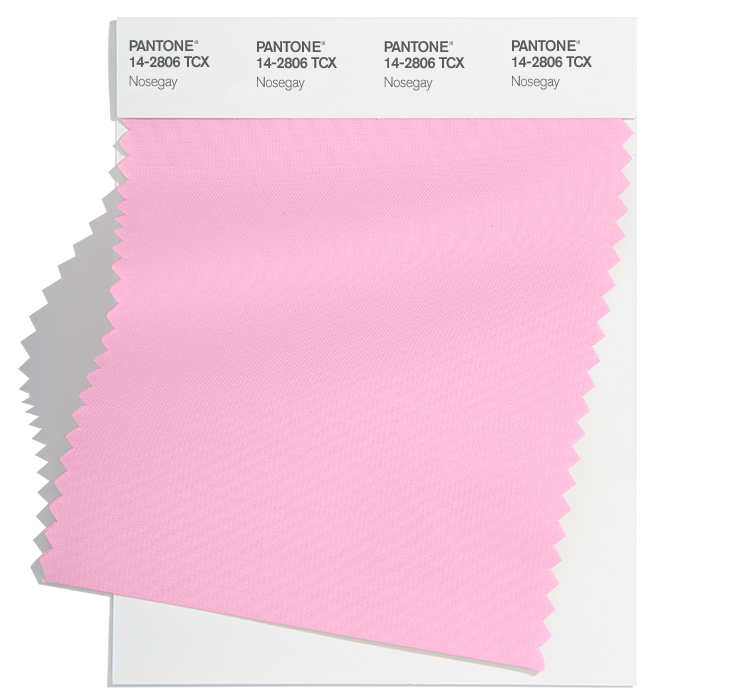 PANTONE 14-2806TCX