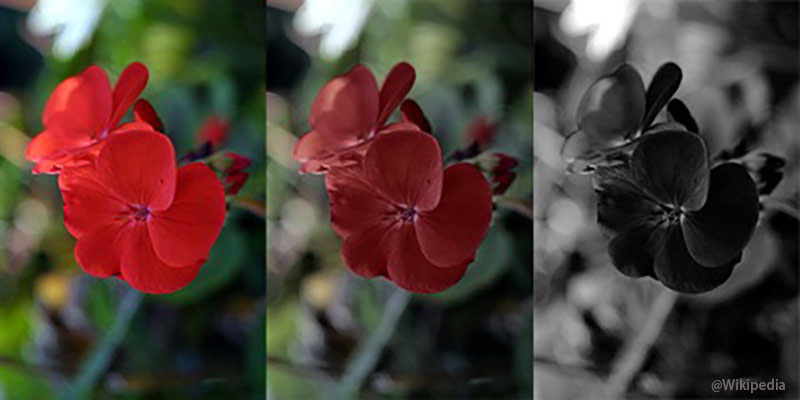 不同光线下红色的呈现